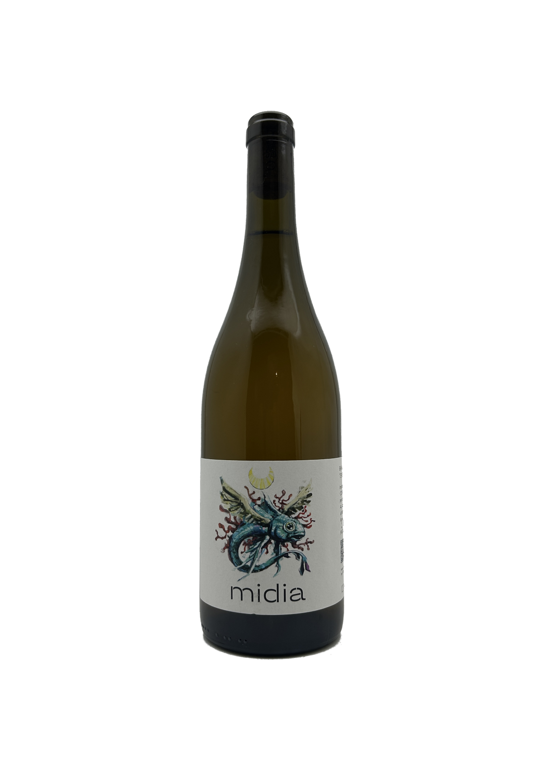 Midia - 2024